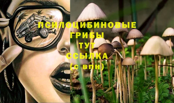MESCALINE Михайловка