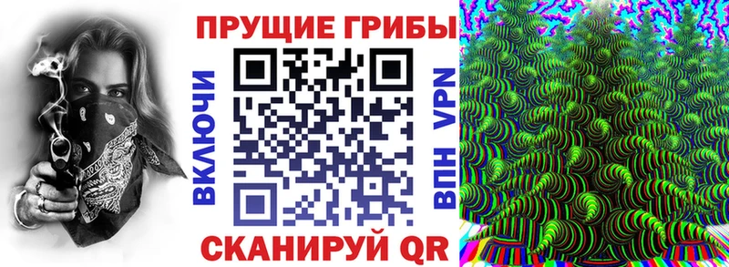 kraken tor  Сальск  Галлюциногенные грибы Cubensis 