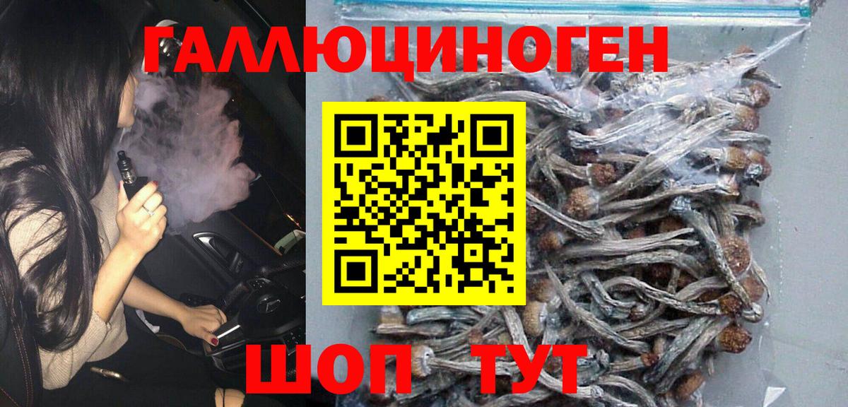 Галлюциногенные грибы Psilocybine cubensis  Вход с VPN  Сальск 