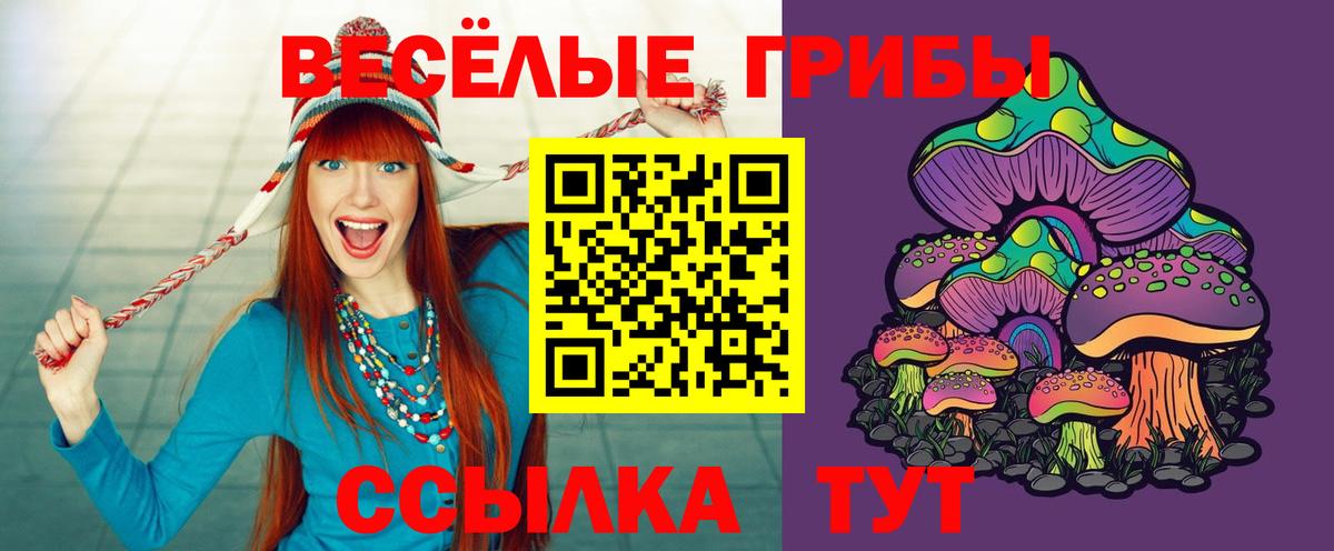 Галлюциногенные грибы мицелий Сальск