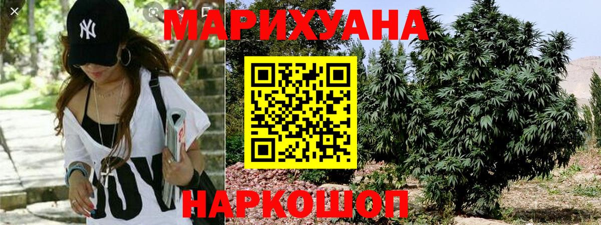 Бошки Шишки White Widow Сальск